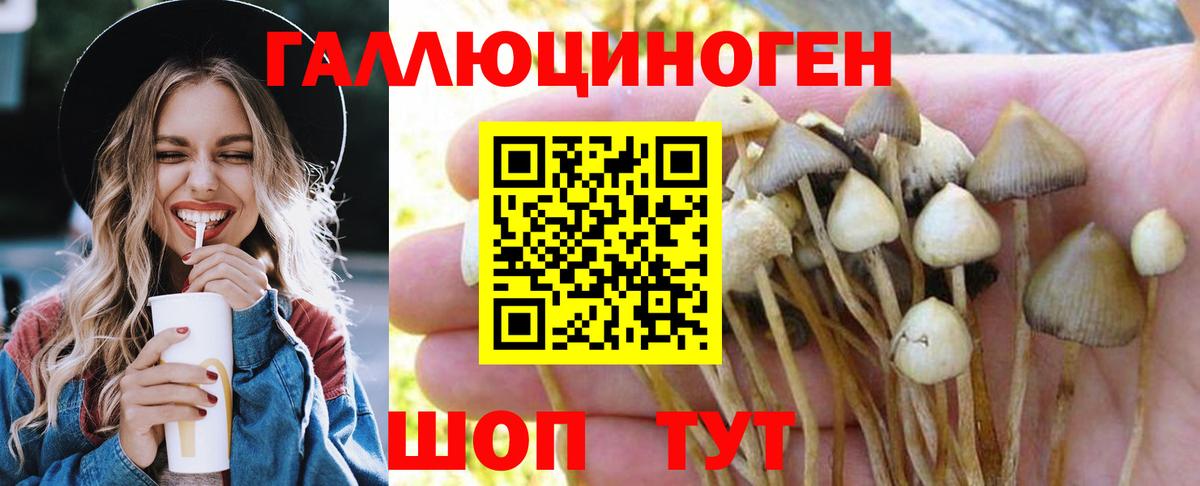 Псилоцибиновые грибы ЛСД Ковров